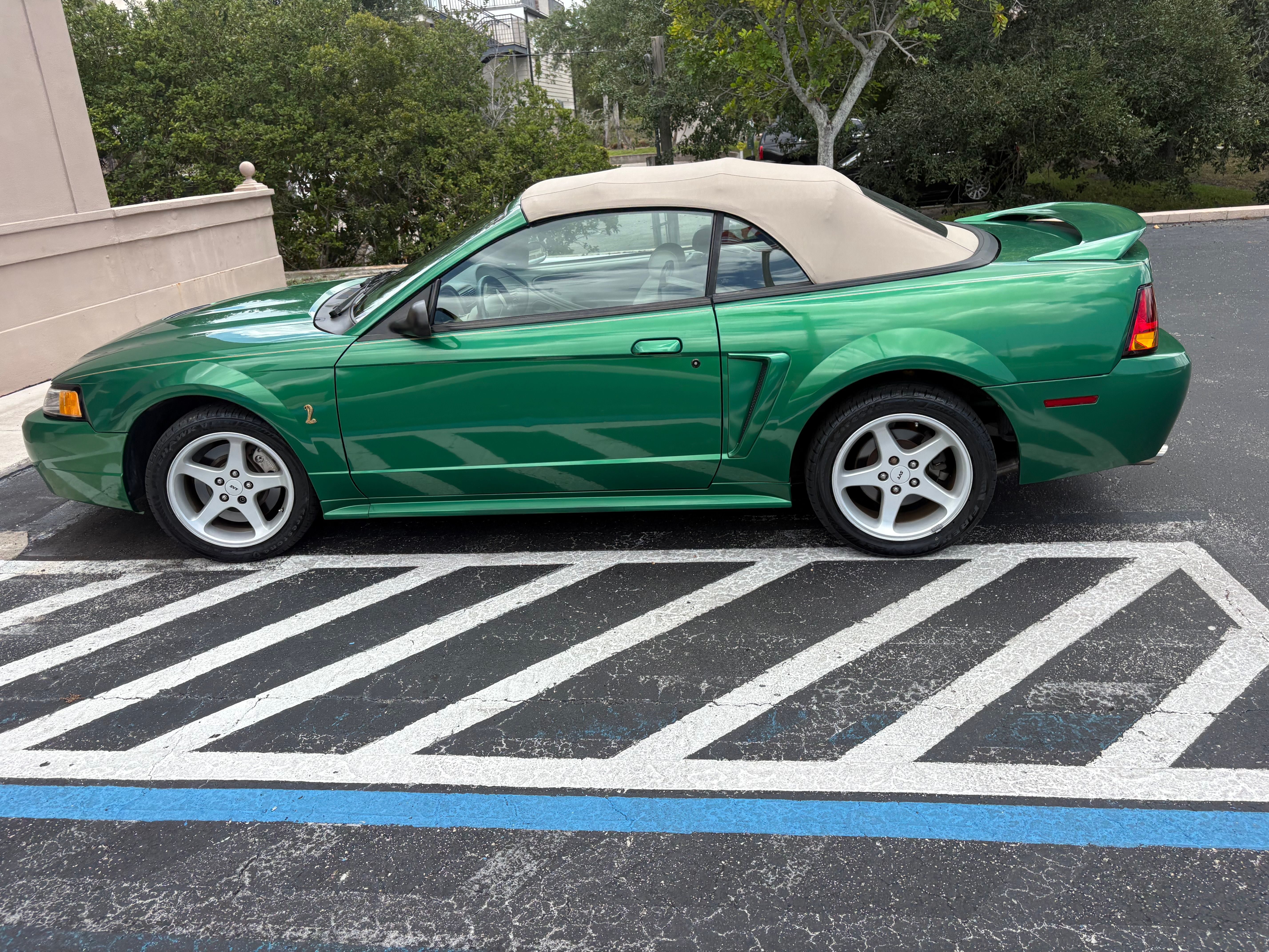 Used 1999 Ford Mustang Cobra RWD image 16