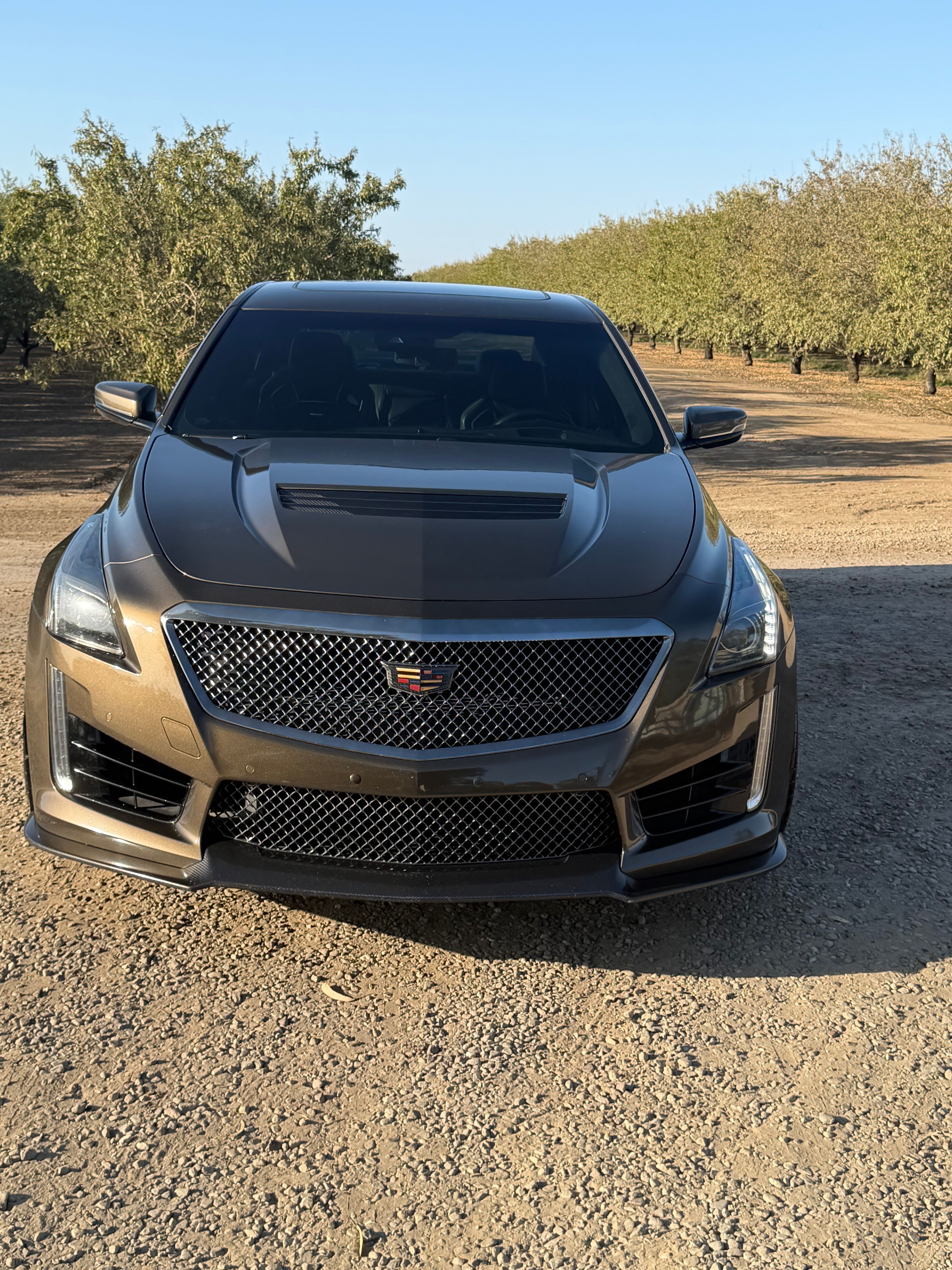 Used 2019 Cadillac CTS V w/ Pedestal Edition RWD image 8