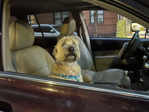 Used 2011 Toyota Highlander SE image 2