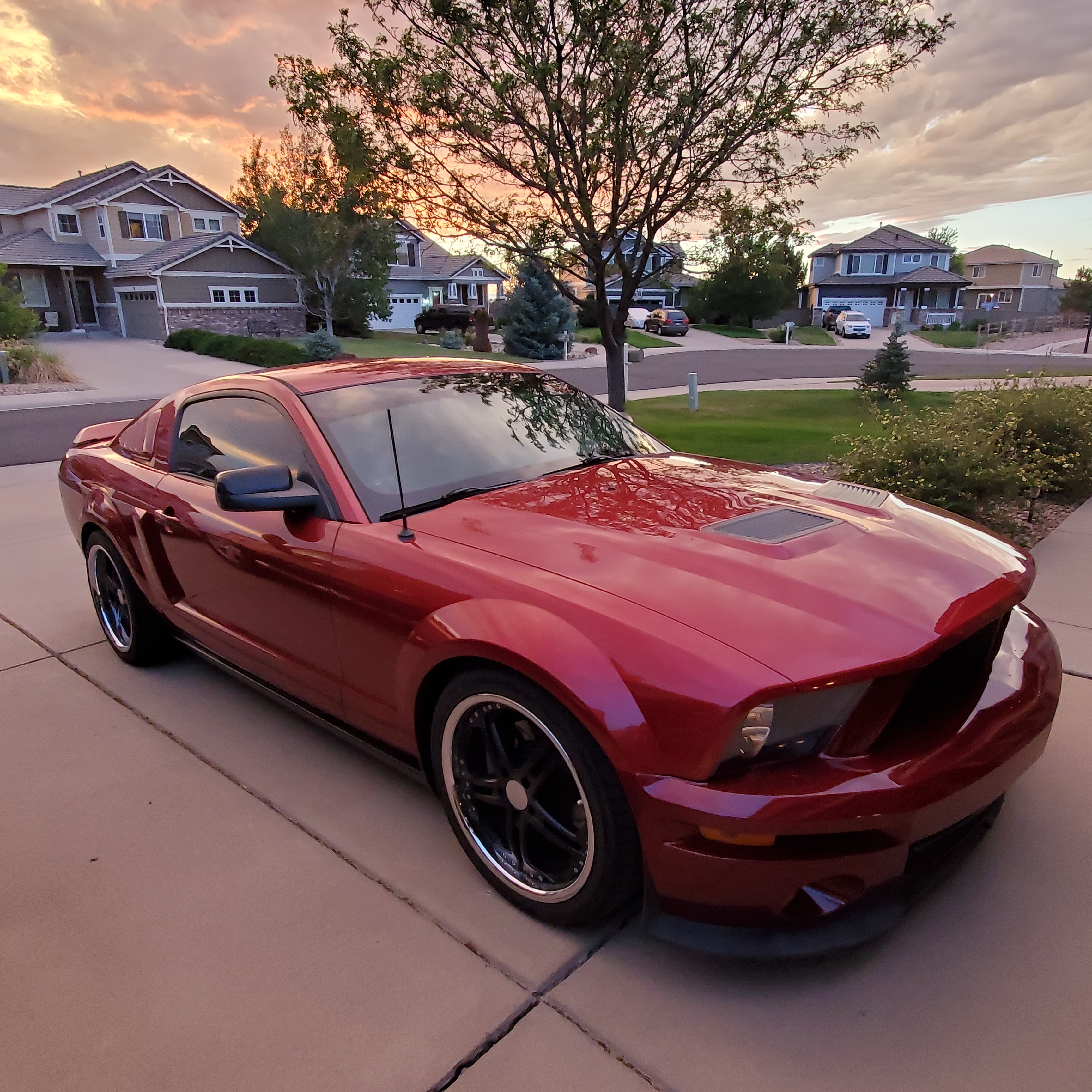 Used 2005 Ford Mustang GT Premium RWD image 1