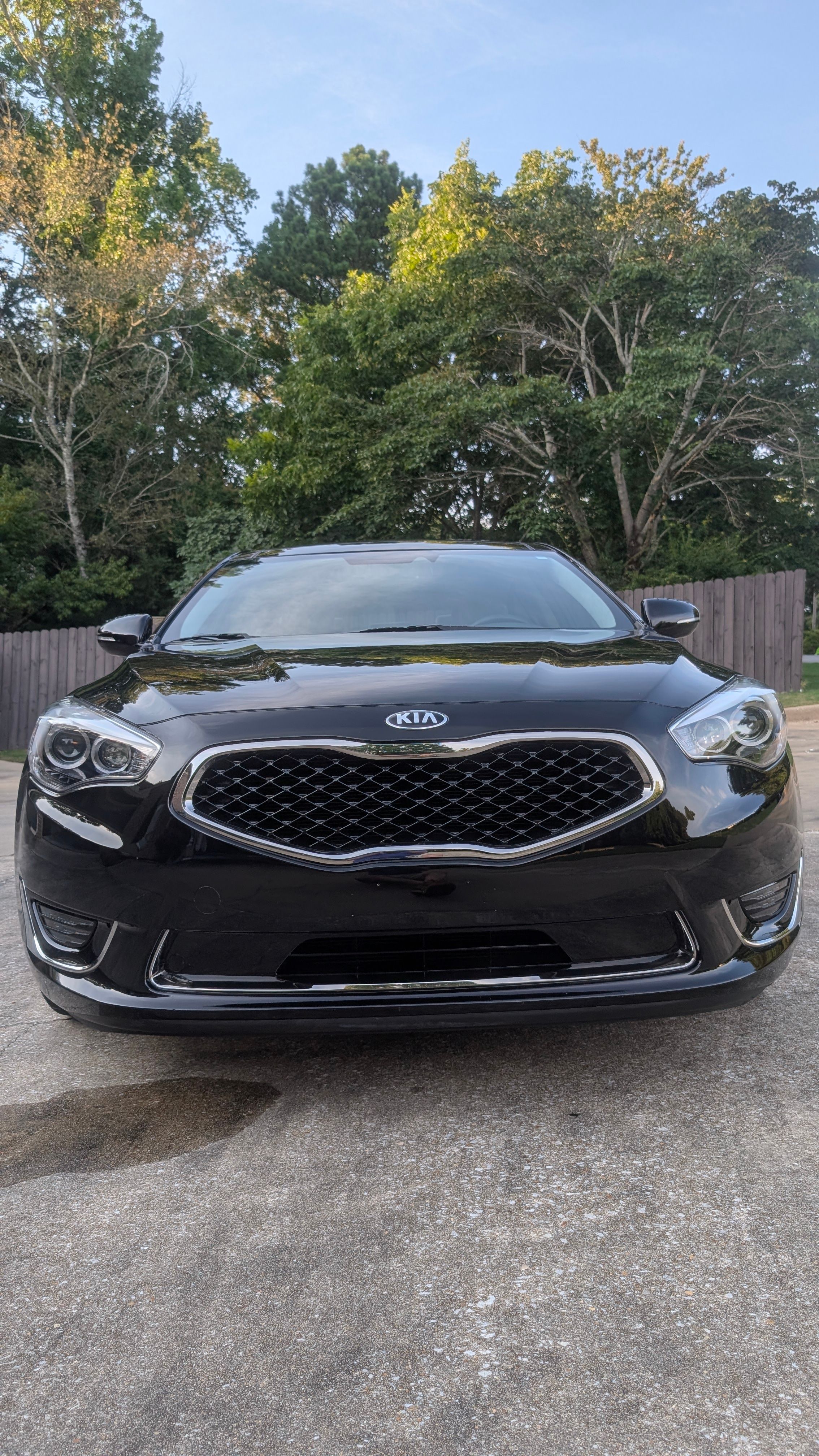 Used 2014 Kia Cadenza Limited FWD image 5