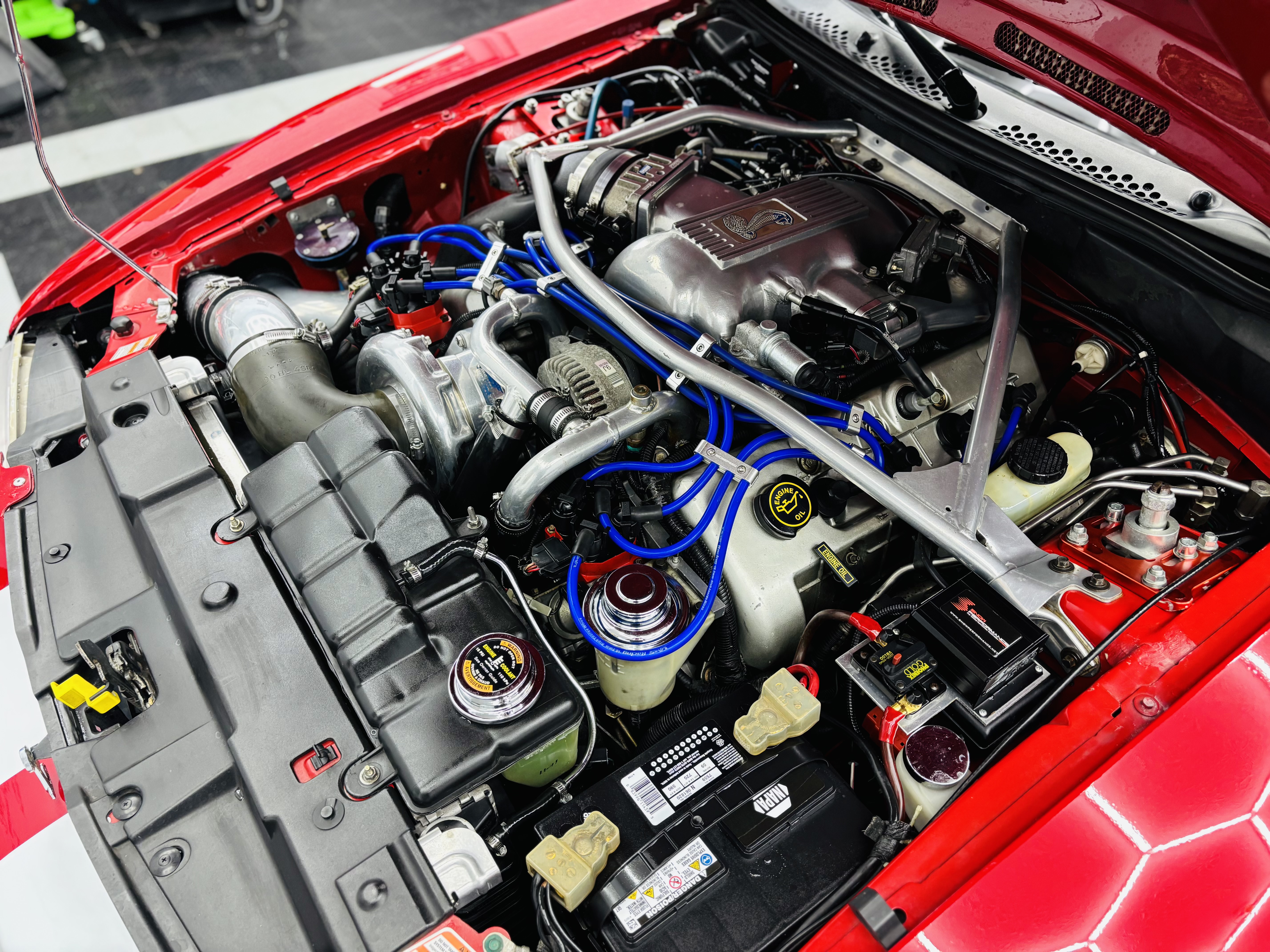 Used 1997 Ford Mustang Cobra RWD image 5