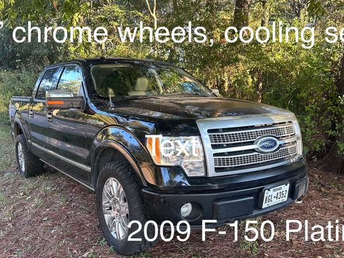 Used 2009 Ford F150 Platinum image 1