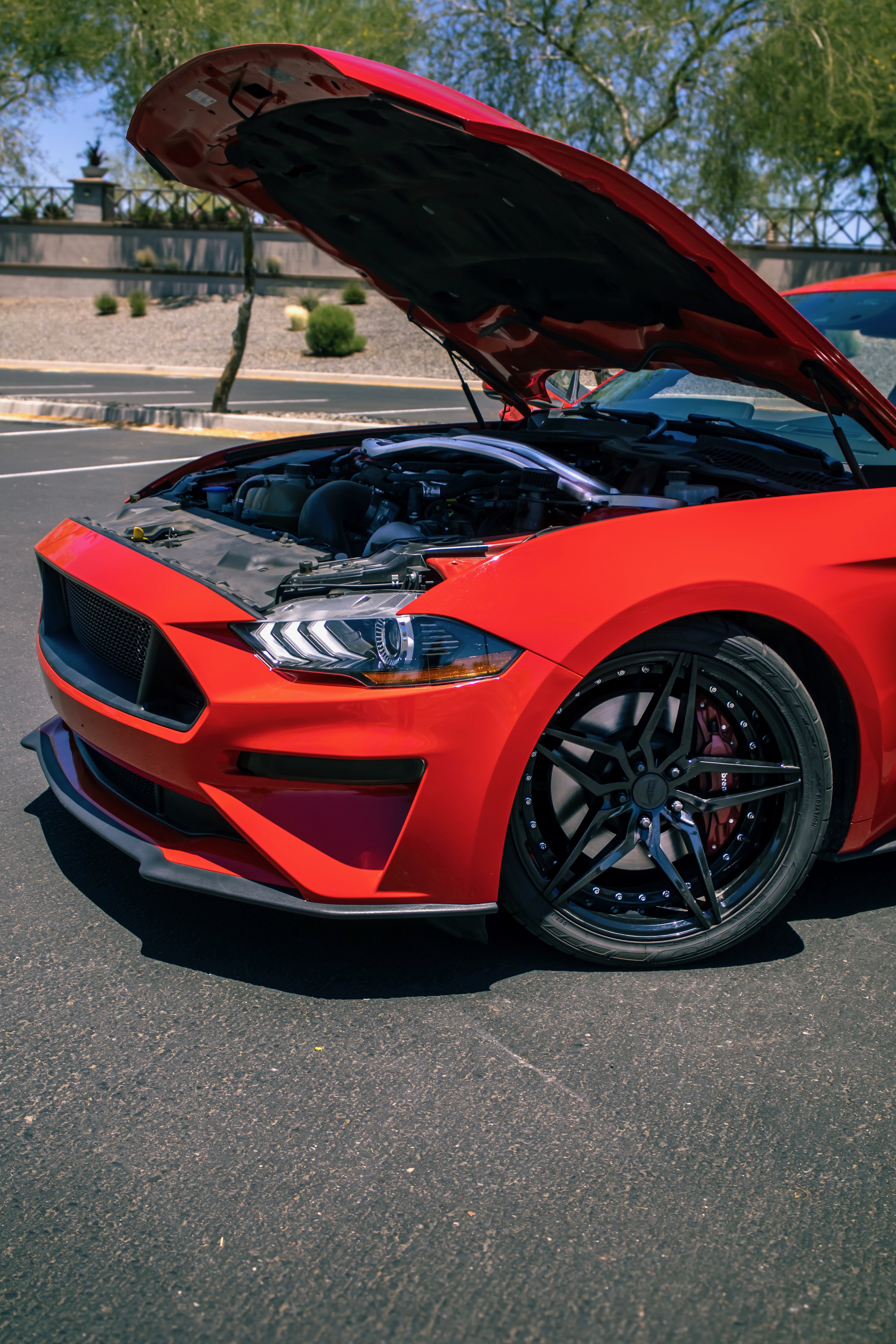 Used 2020 Ford Mustang GT Premium w/ Equipment Group 401A RWD image 16