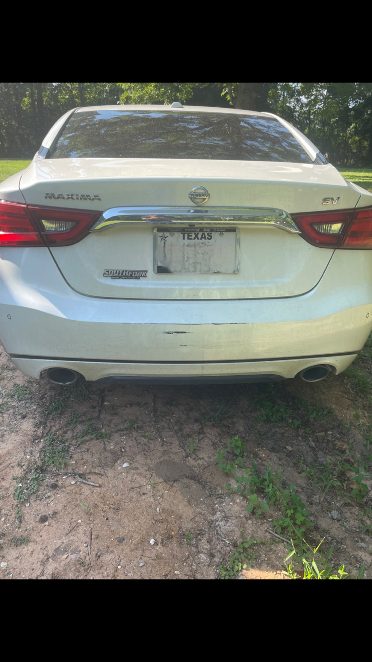 Used 2016 Nissan Maxima 3.5 SV FWD image 2