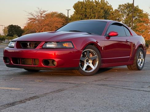 Used 2003 Ford Mustang Cobra image 1