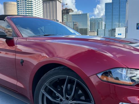Used 2019 Ford Mustang Premium w/ Ford Safe & Smart Package RWD image 9