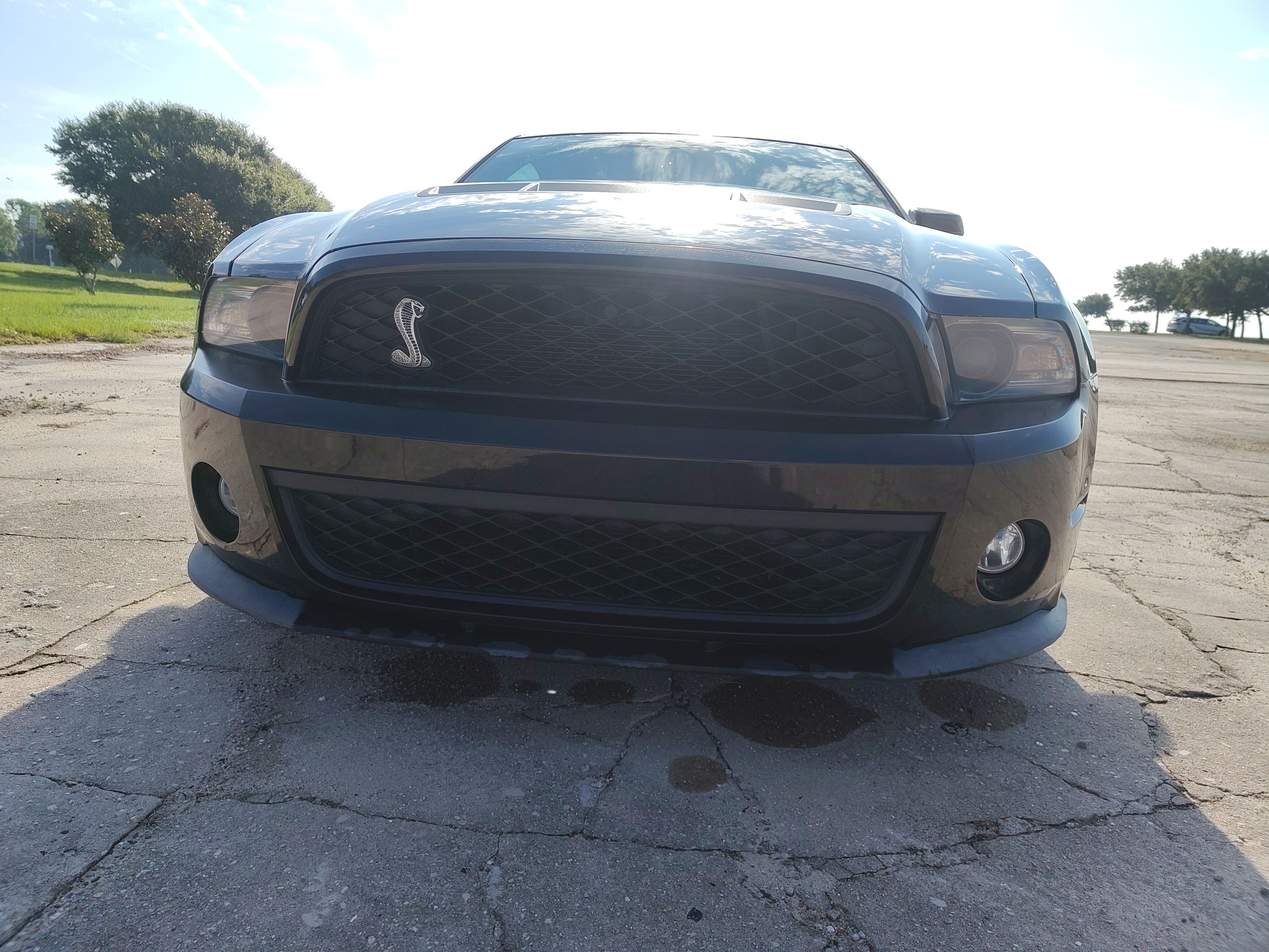 Used 2012 Ford Mustang Shelby GT500 w/ SVT Performance Pkg RWD image 14