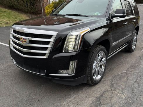Used 2015 Cadillac Escalade Premium image 1
