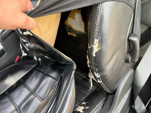 Used 2010 Dodge Challenger R/T image 24