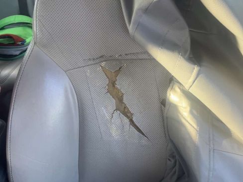 Used 2009 Lexus IS 250 AWD image 6