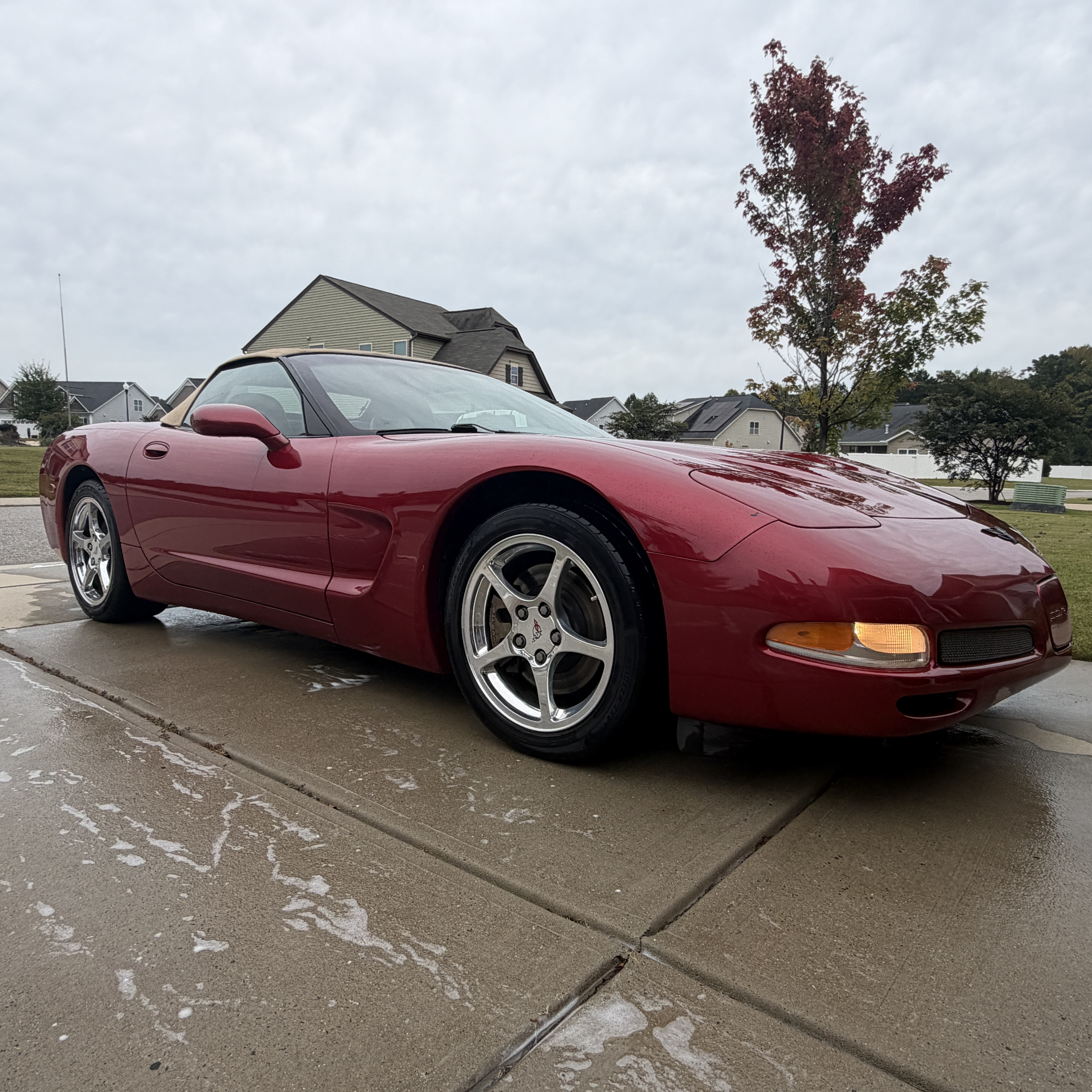 Used 2002 Chevrolet Corvette Convertible w/ Preferred Equipment Group2 RWD image 6