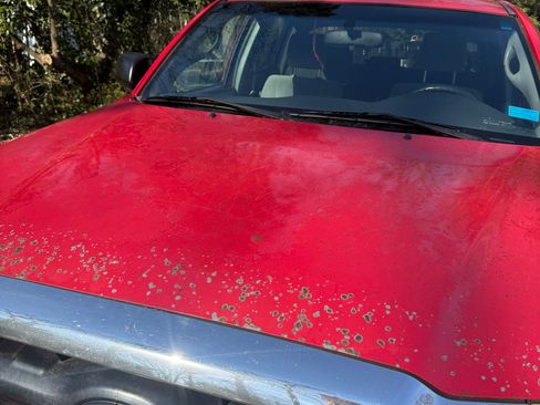 Used 2008 Toyota Tacoma PreRunner image 5