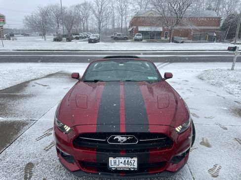 Used 2015 Ford Mustang GT Premium w/ Equipment Group 401A image 1