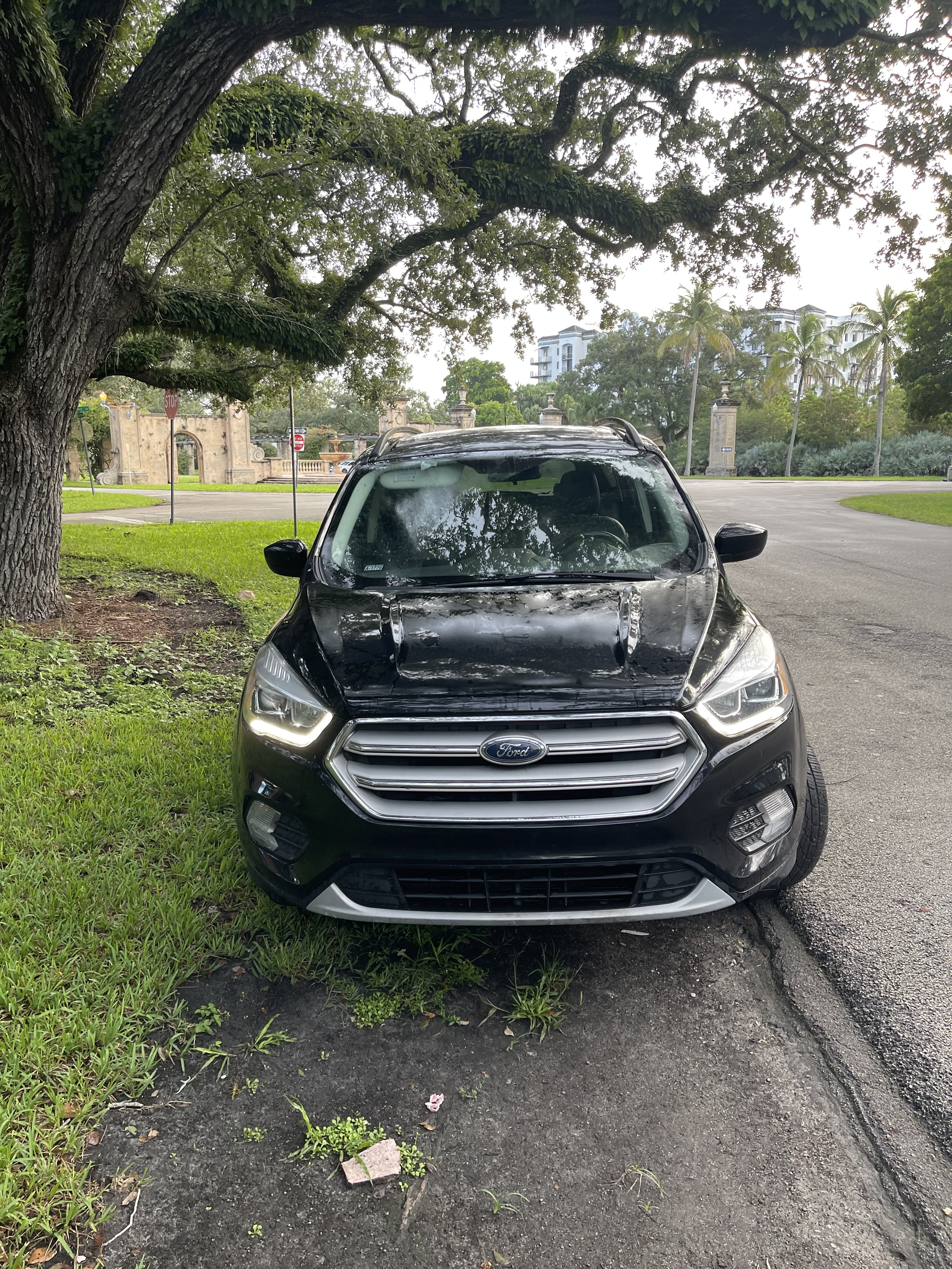 Used 2019 Ford Escape SEL FWD image 2
